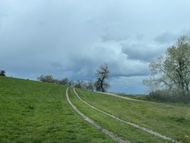 Tiszalök