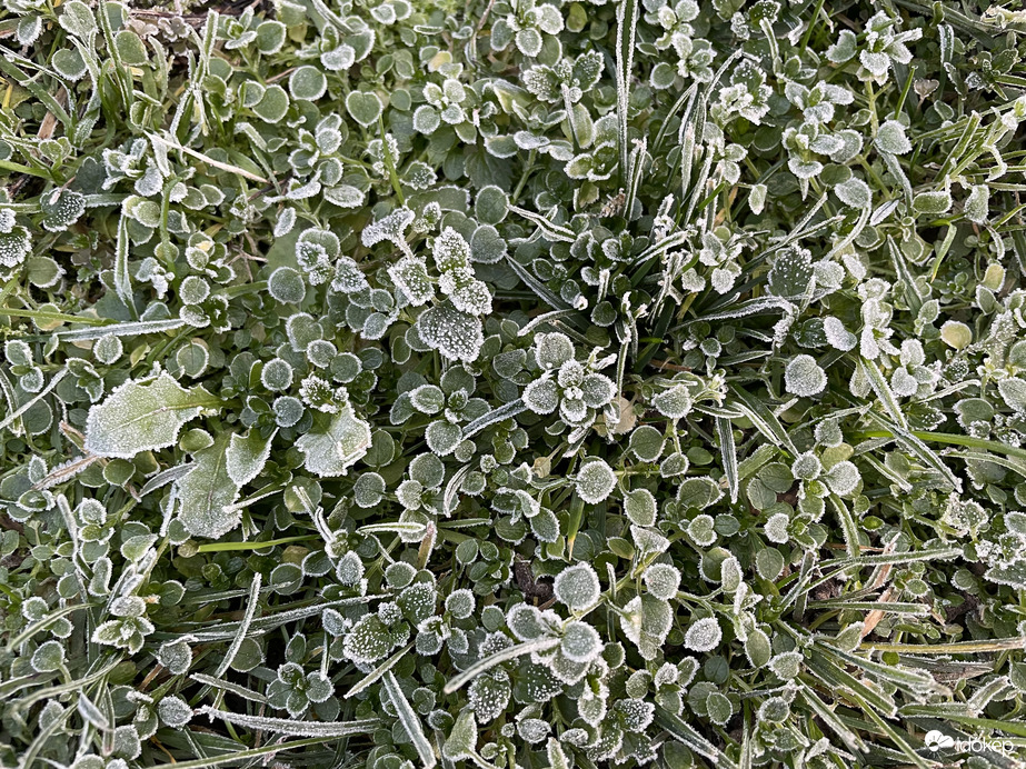 Tiszalök