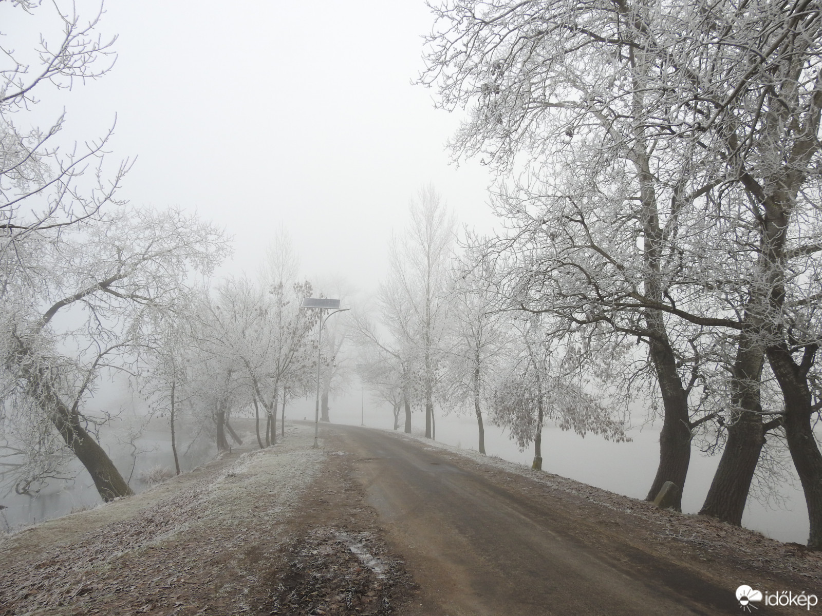 Zúzmara