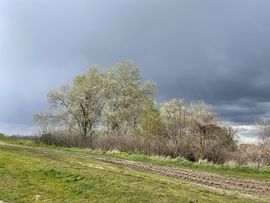 Tiszalök