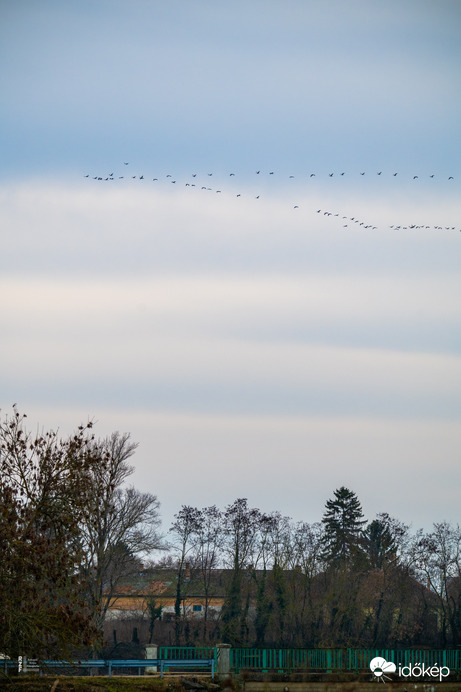 Tél végi daruvonulás, Tiszalök