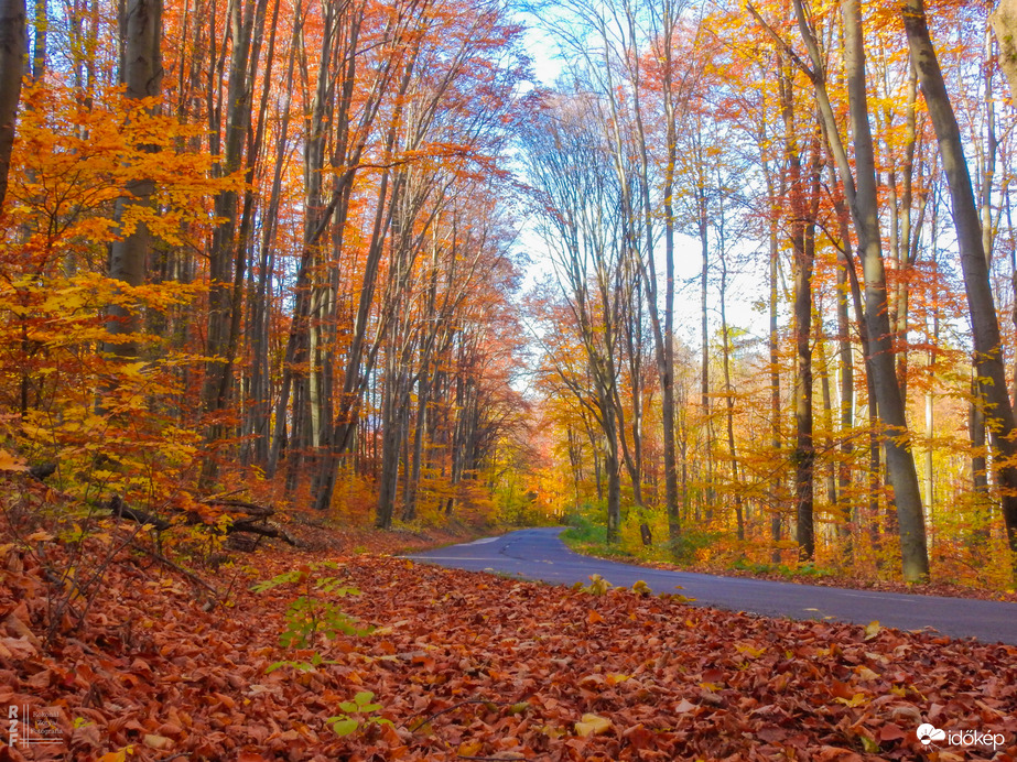 Jártamban, keltemben - erdőn, réten
