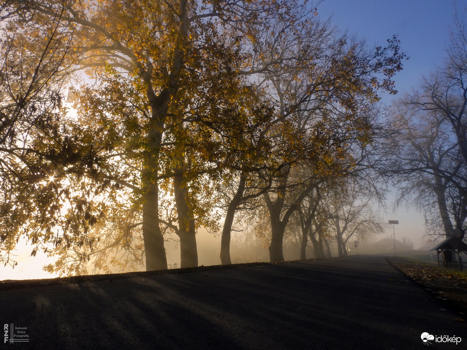 Ködös reggel a tiszalöki Kis-Tiszán