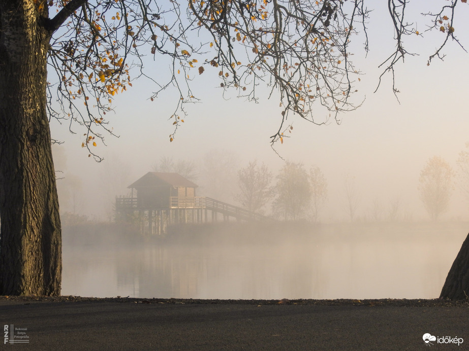 Ködös reggel a tiszalöki Kis-Tiszán