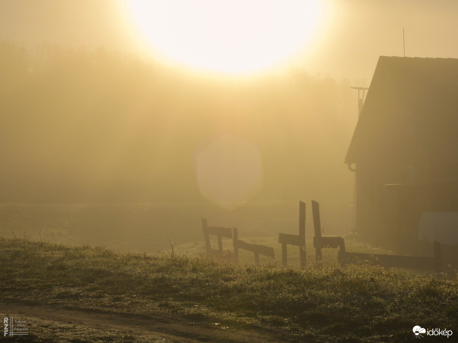 Ködös reggel a tiszalöki Kis-Tiszán