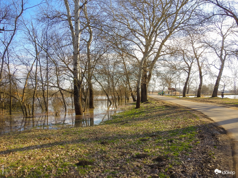 Árvíz, 536 cm, Tiszalök