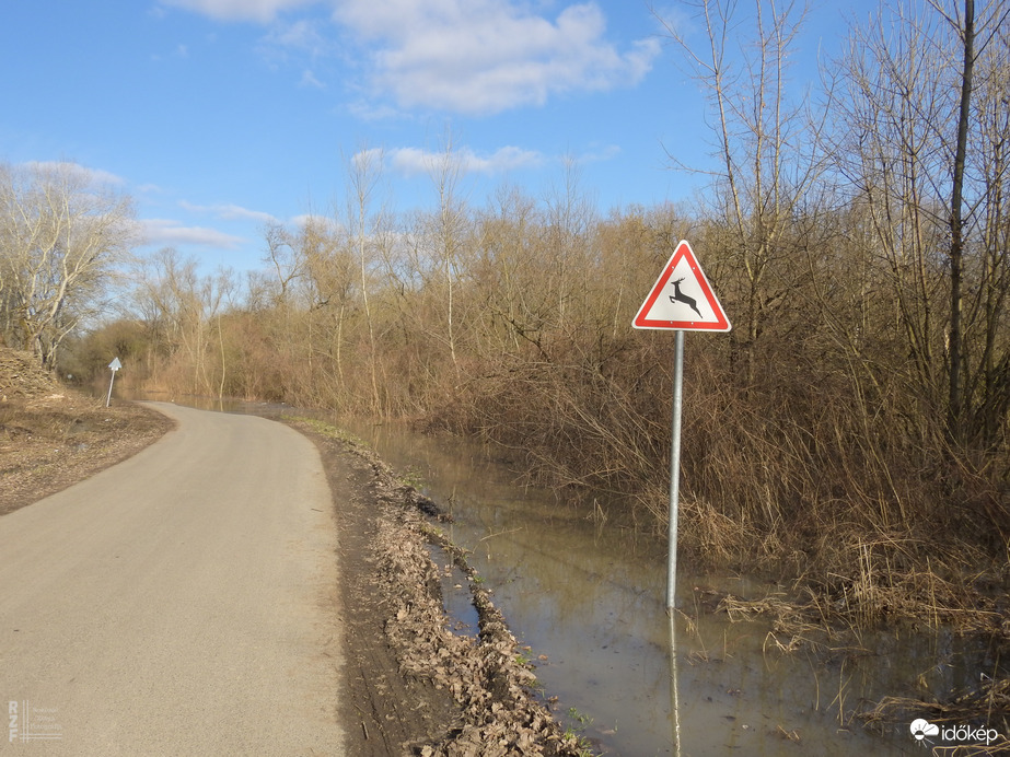 Árvíz, 536 cm, Tiszalök