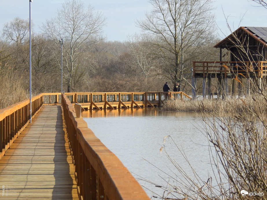 Árvíz, 536 cm, Tiszalök