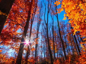 Jártamban, keltemben - erdőn, réten