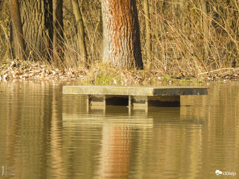 Árvíz, 536 cm, Tiszalök