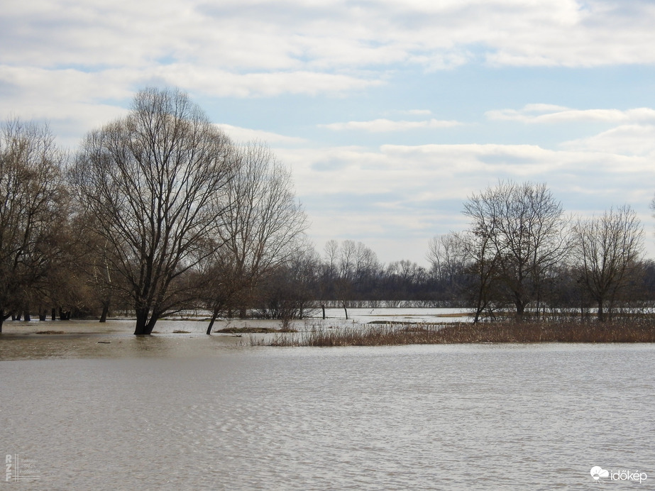 Árvíz, 536 cm, Tiszalök