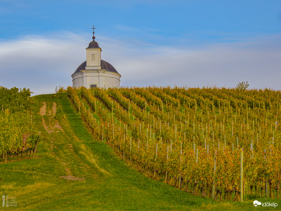 Tarcal – az aranyhegyek kapuja