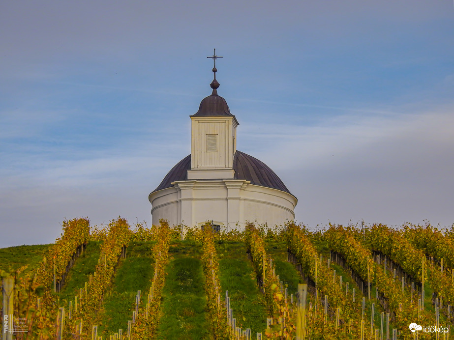 Tarcal – az aranyhegyek kapuja