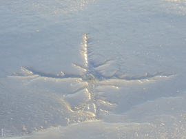 Amikor a jég elkezd mesélni: jégpókok, rianások, lékelés