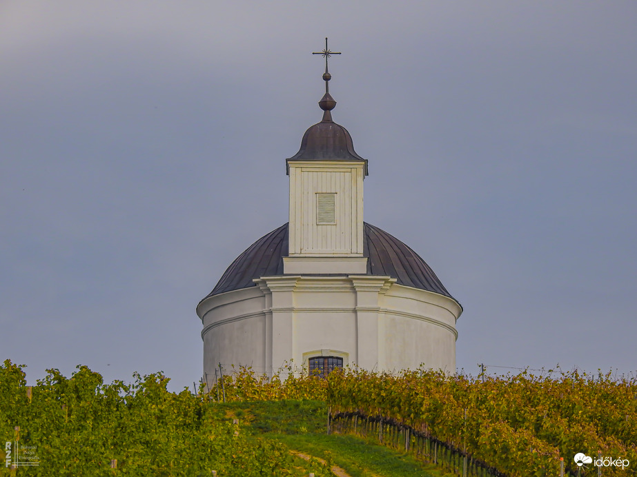 Tarcal – az aranyhegyek kapuja