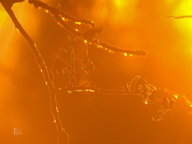 Elbűvölő naplemente a tiszalöki Kis-Tisza holtágnál