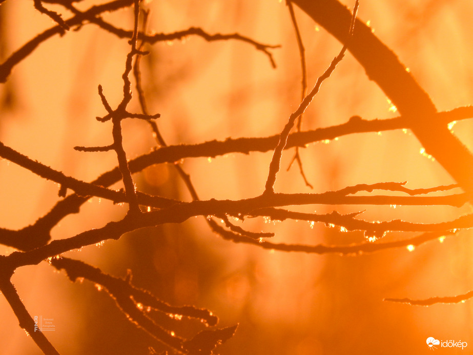Elbűvölő naplemente a tiszalöki Kis-Tisza holtágnál