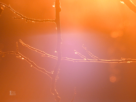 Elbűvölő naplemente a tiszalöki Kis-Tisza holtágnál