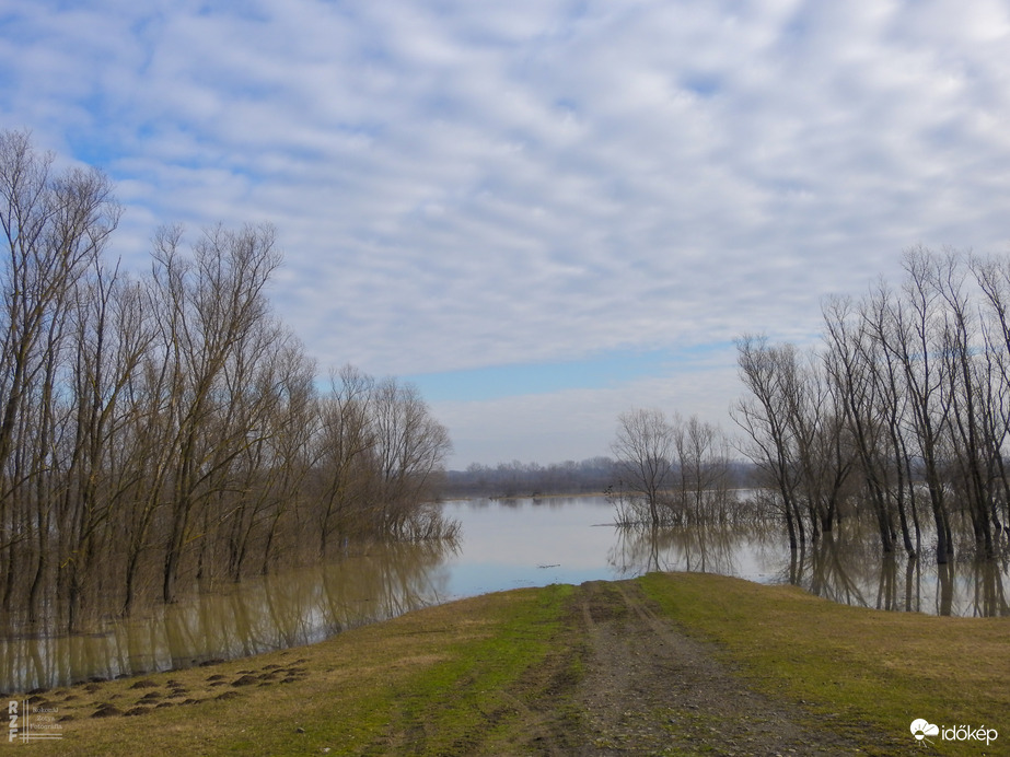 Árvíz, 565 cm, Kis-Tisza/Tiszalök