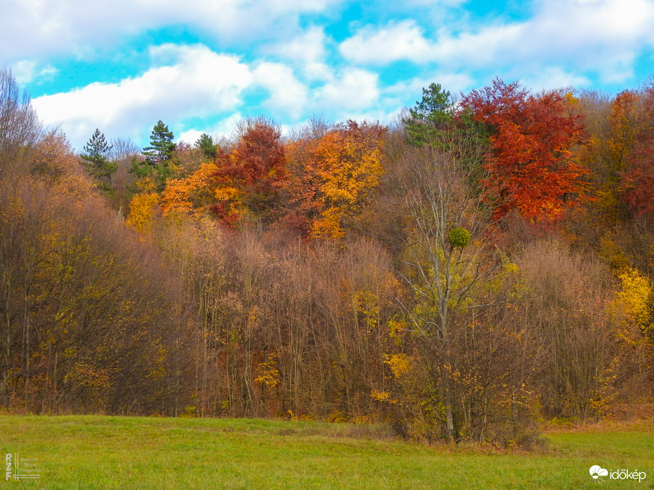 Jártamban, keltemben - erdőn, réten