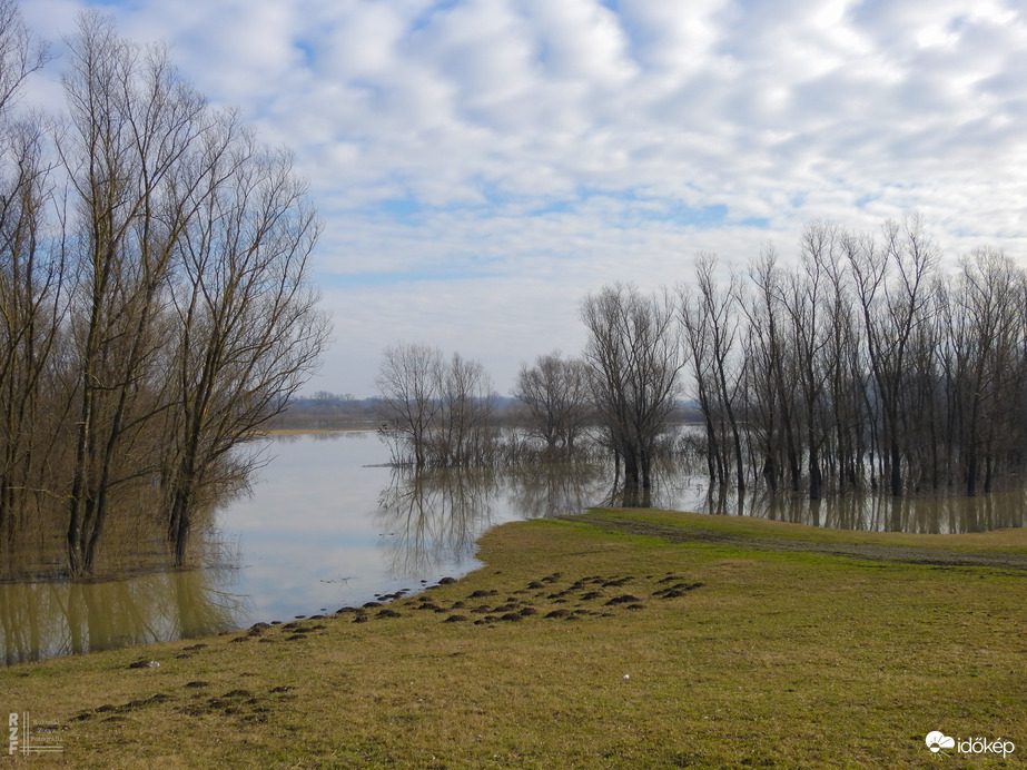 Árvíz, 629 cm, Töltés/Tiszalök