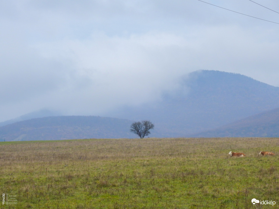 Ködös Zemplén