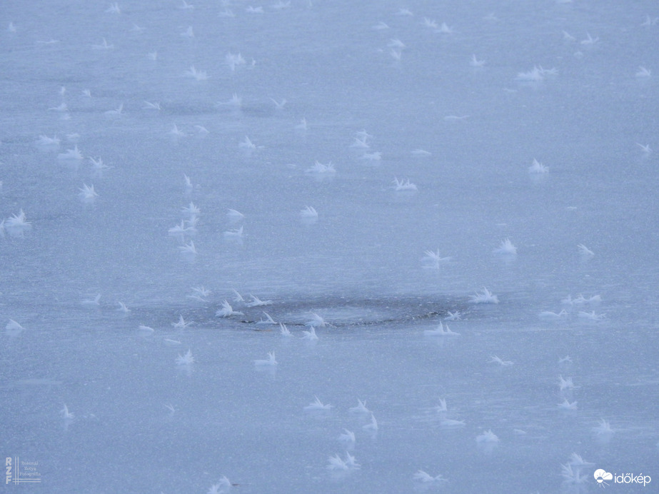 Nem mindennapi fagyvirágok nyílnak a Kis-Tiszán