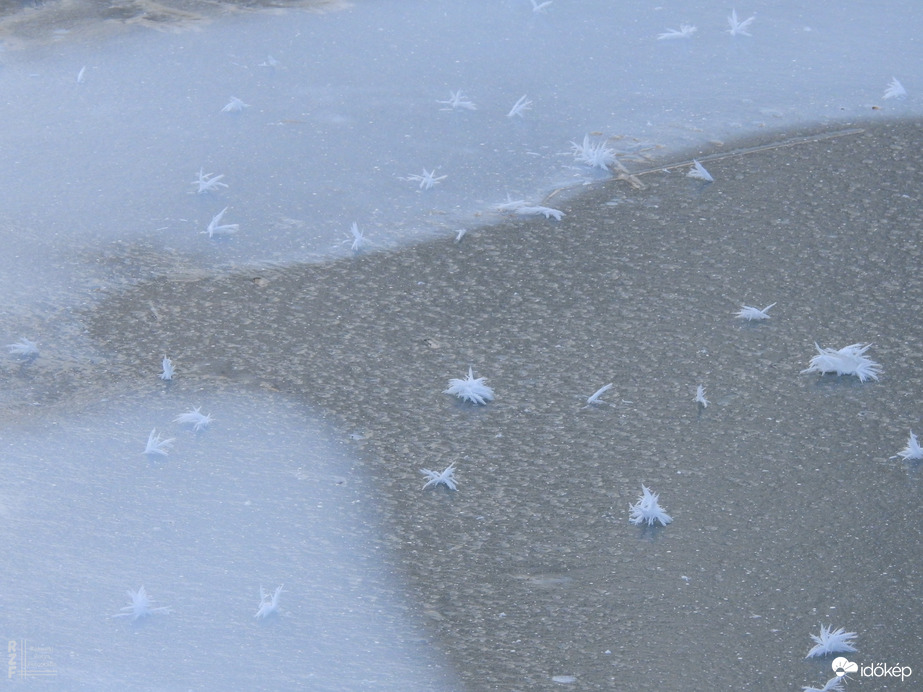 Nem mindennapi fagyvirágok nyílnak a Kis-Tiszán