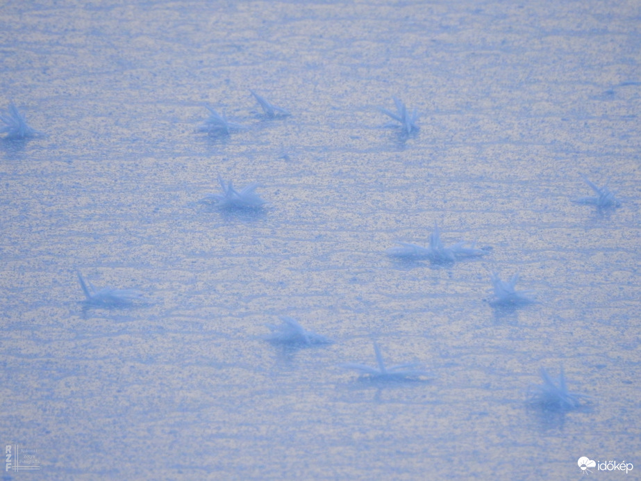 Nem mindennapi fagyvirágok nyílnak a Kis-Tiszán