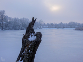 Nem mindennapi fagyvirágok nyílnak a Kis-Tiszán