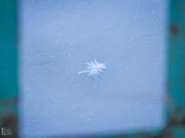 Nem mindennapi fagyvirágok nyílnak a Kis-Tiszán