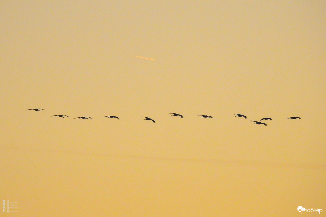 rzotya0327 fotója