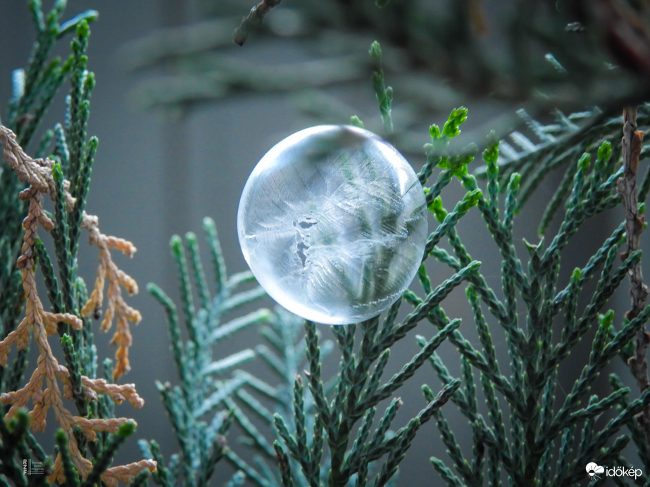 A tél álma egy buborékban