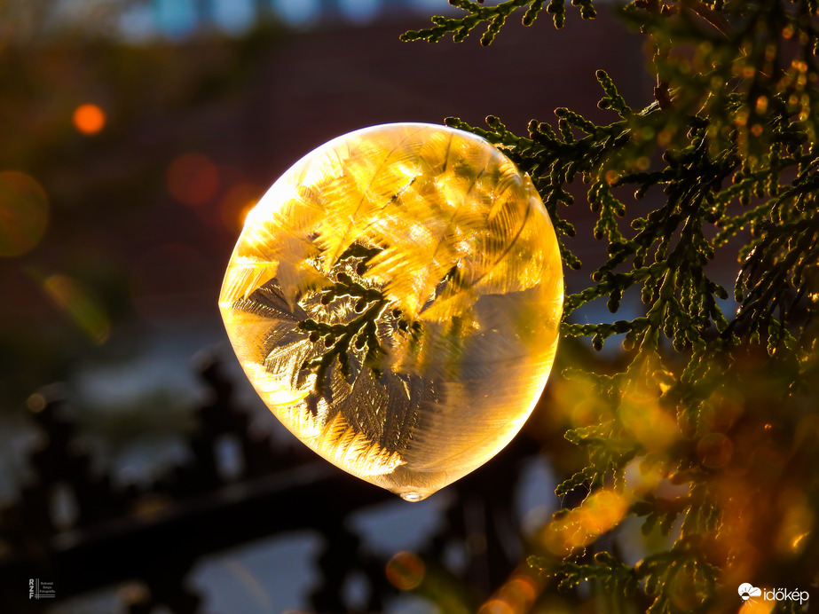 A tél álma egy buborékban