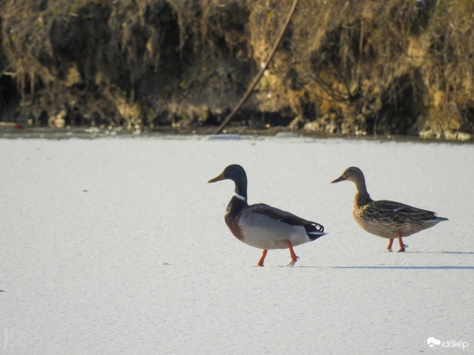 Napsütötte Tiszalök