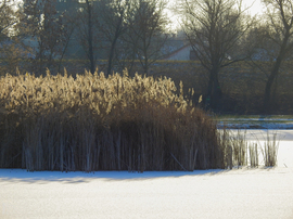 Napsütötte Tiszalök