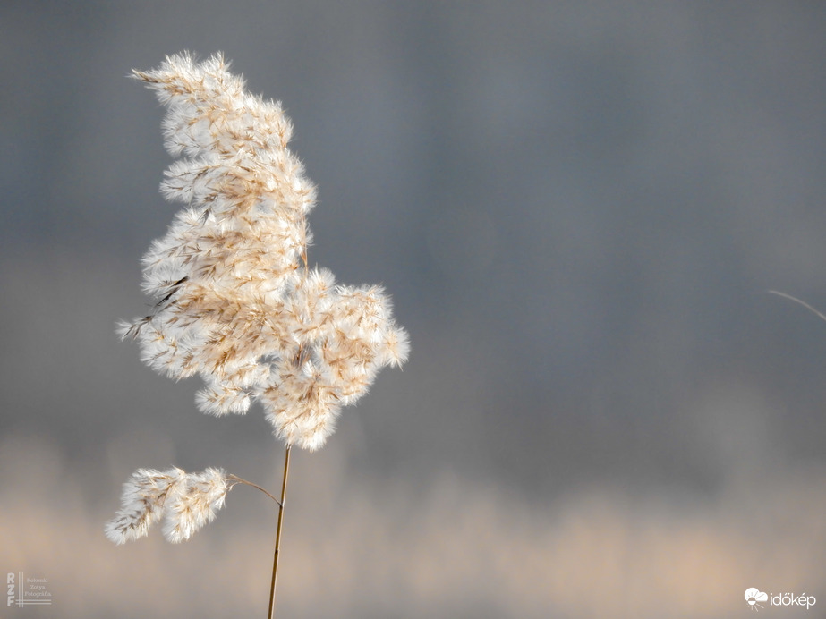 Napsütötte Tiszalök