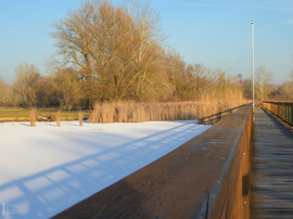 Napsütötte Tiszalök