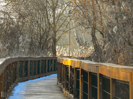 Napsütötte Tiszalök