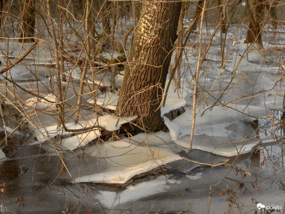 Kis-Tisza