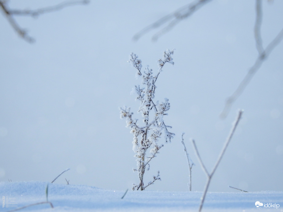 Havas álomvilág Tiszalökön – ritka pillanatok a nagy havazás után