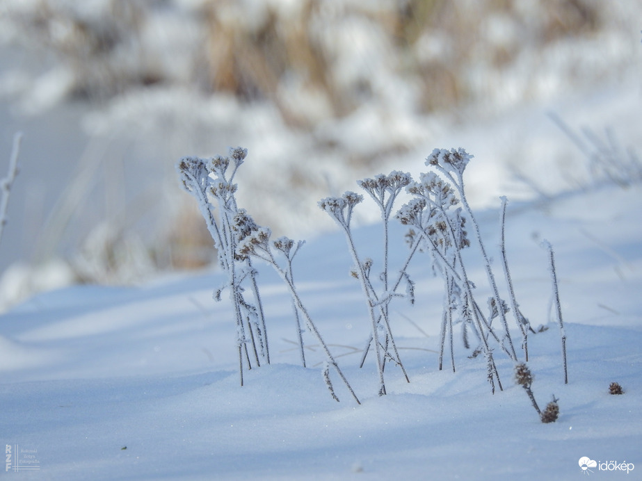 Havas álomvilág Tiszalökön – ritka pillanatok a nagy havazás után