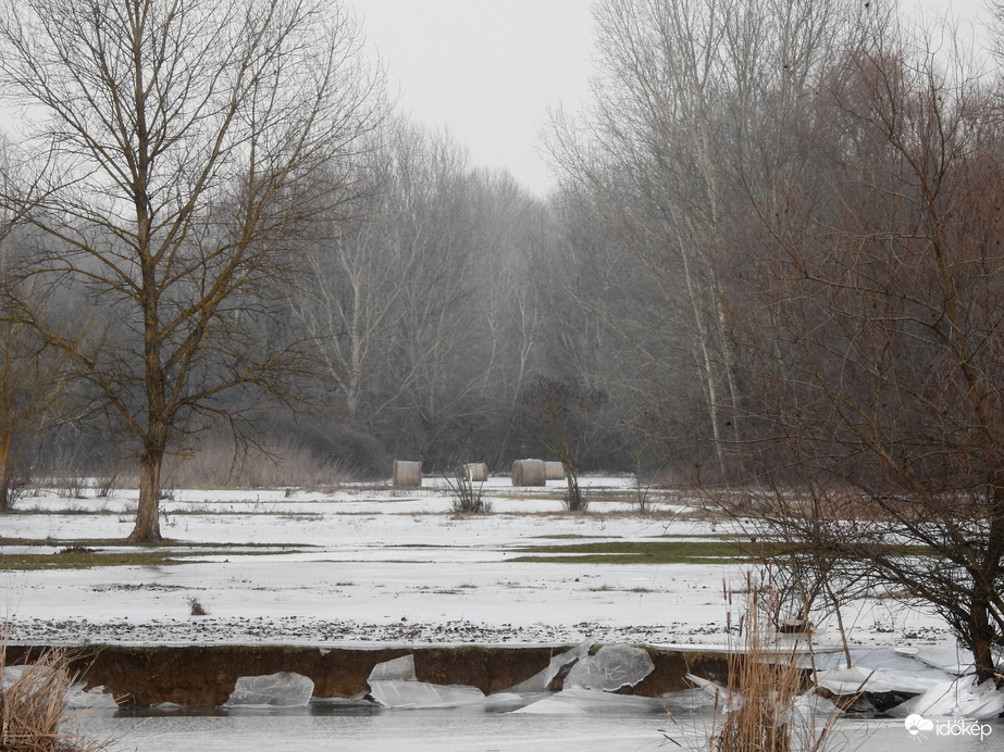 Kis-Tisza