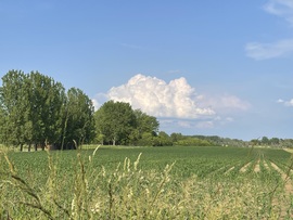 Tiszalök 