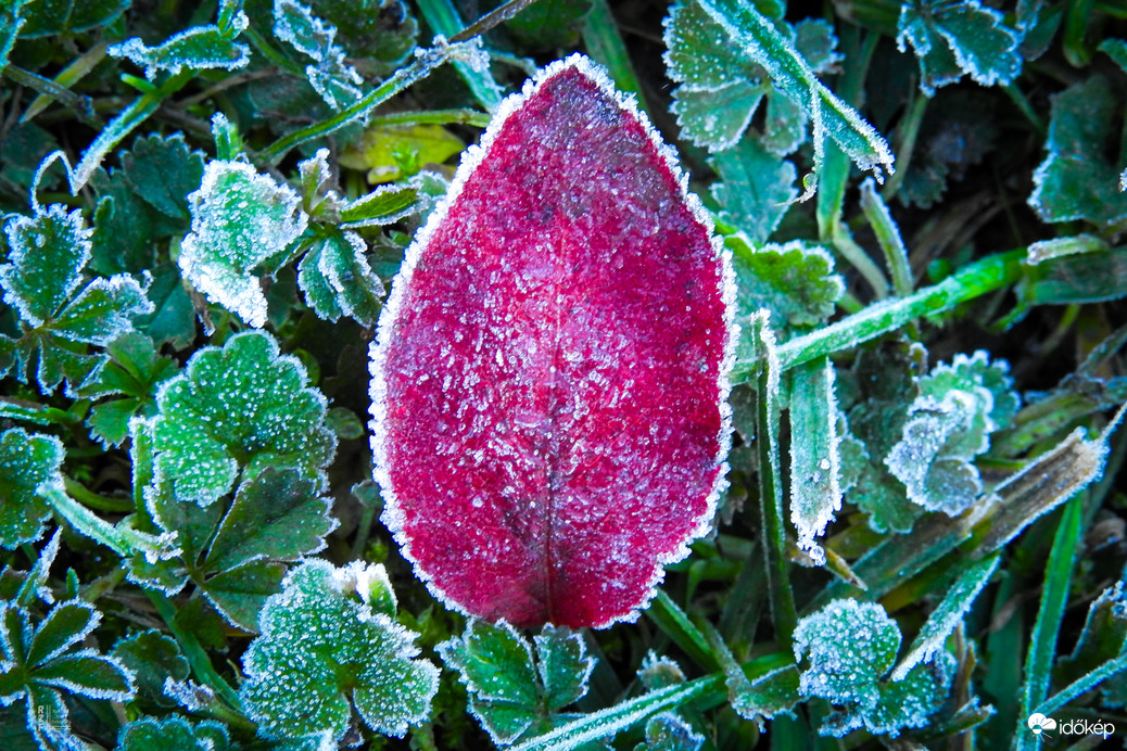 rzotya0327 fotója