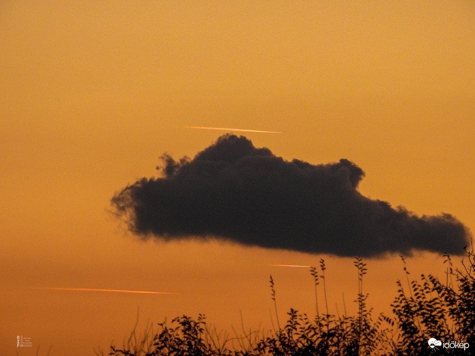Halacska úszik a repülők tengerében 