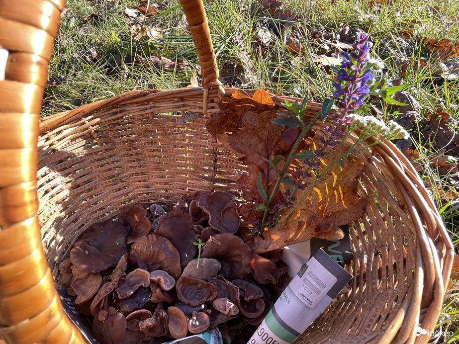 Tiszalök 