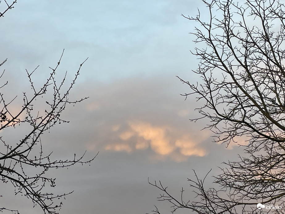 Karácsonyi Mammatusok