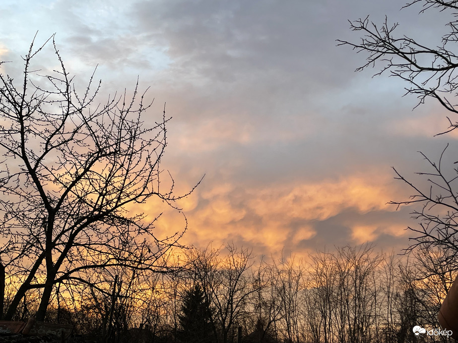 Karácsonyi Mammatusok