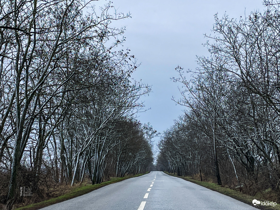 Amikor az időjárás porcukrot hint az ágakra